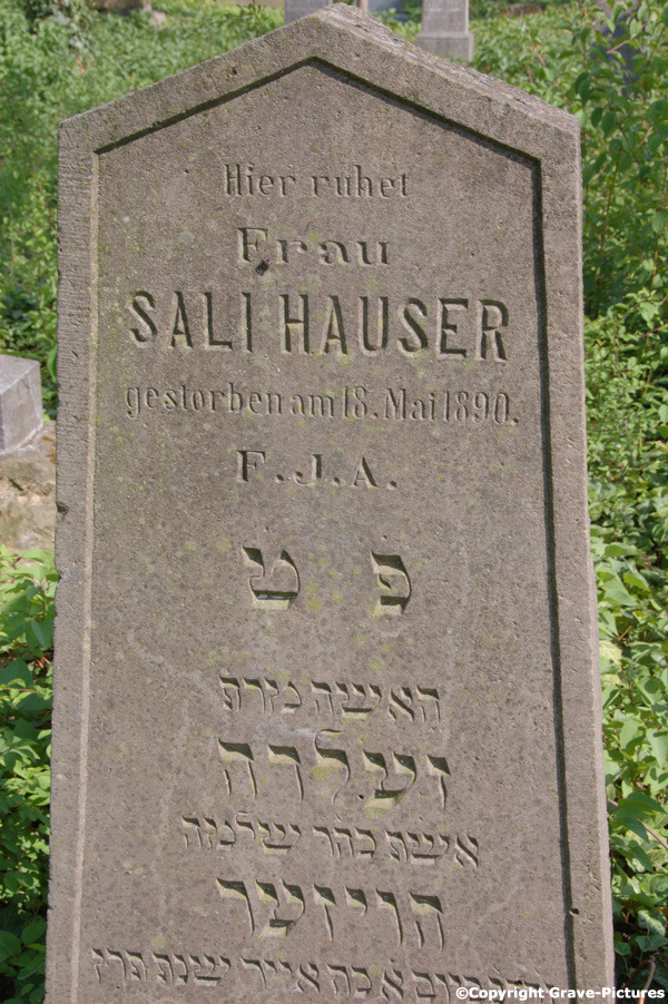 Hauser Sali