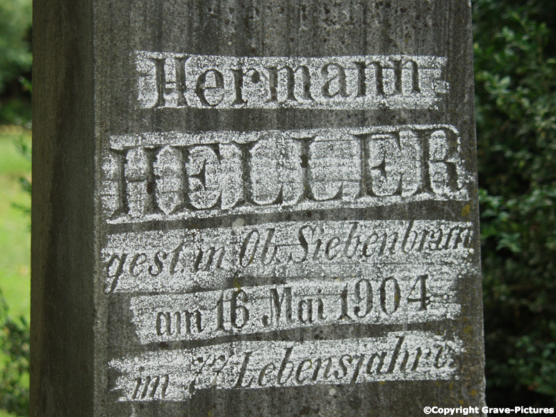 Heller Hermann