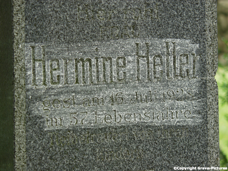 Heller Hermine