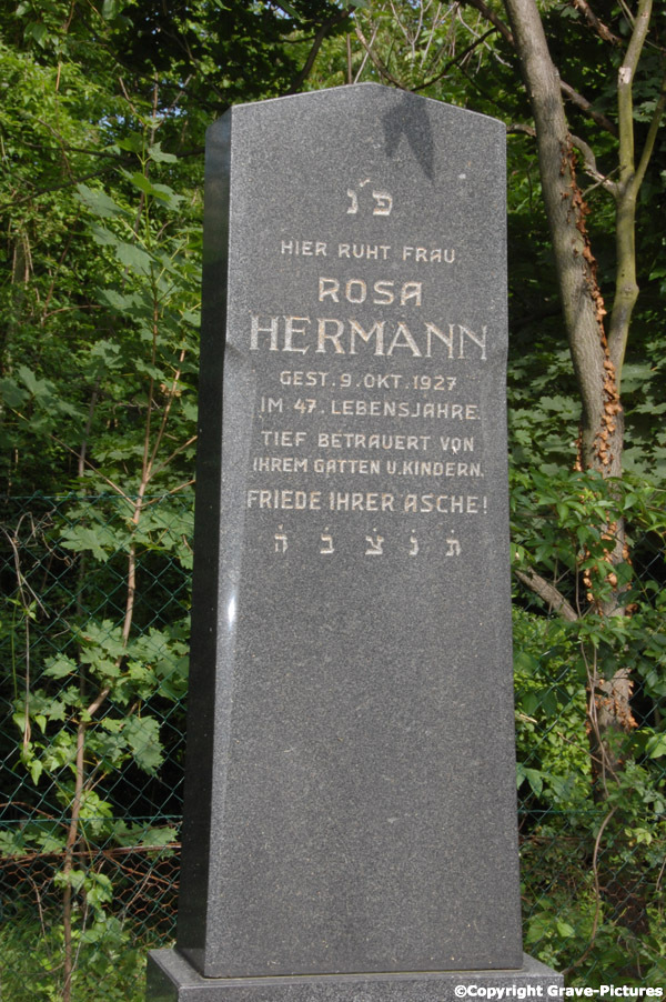 Hermann Rosa