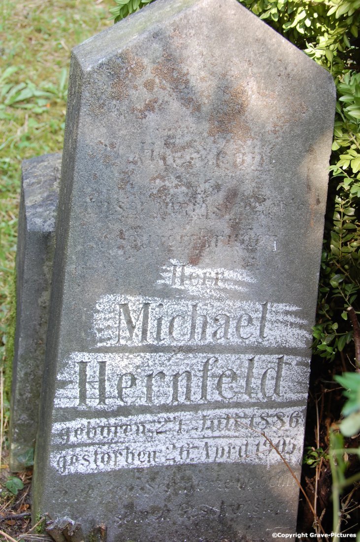 Hernfeld Michael