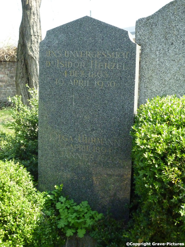Herzel Isidor Dr.