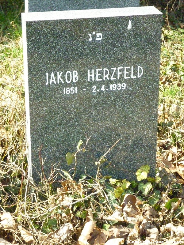 Herzfeld Jakob