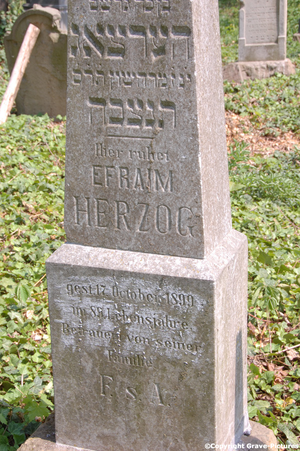 Herzog Efraim