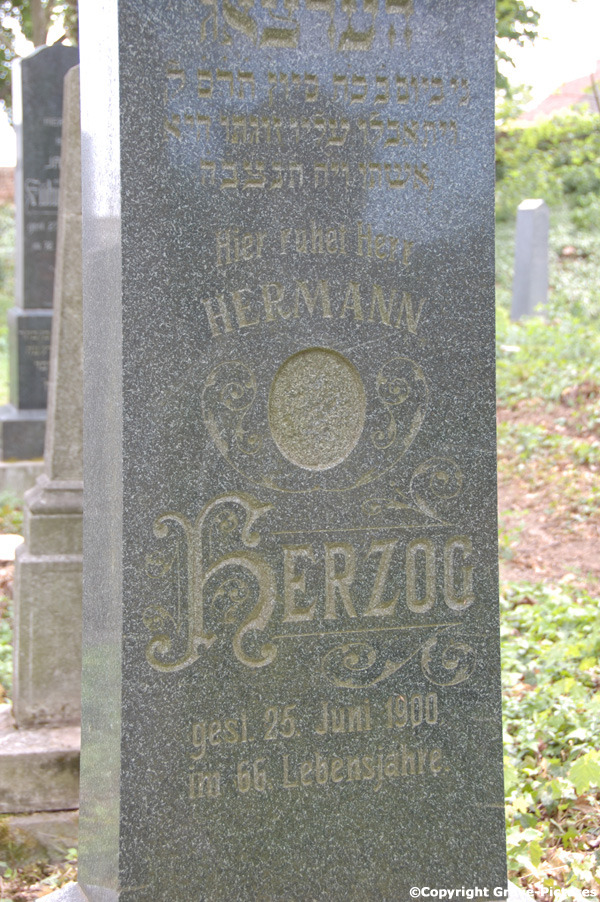 Herzog Hermann