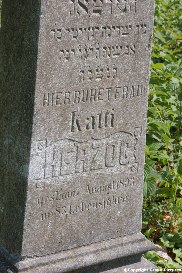 Herzog Katti