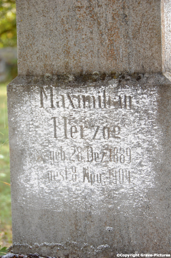 Herzog Maximilian