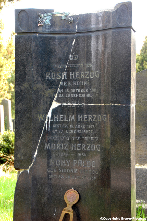Herzog Rosa