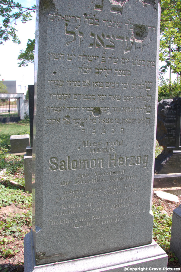 Herzog Salomon