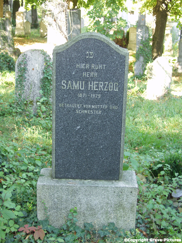 Herzog Samu