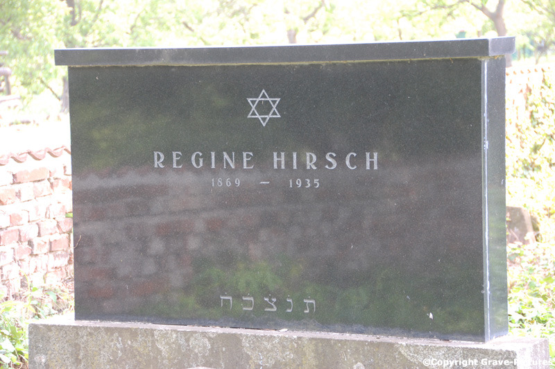 Hirsch Regine
