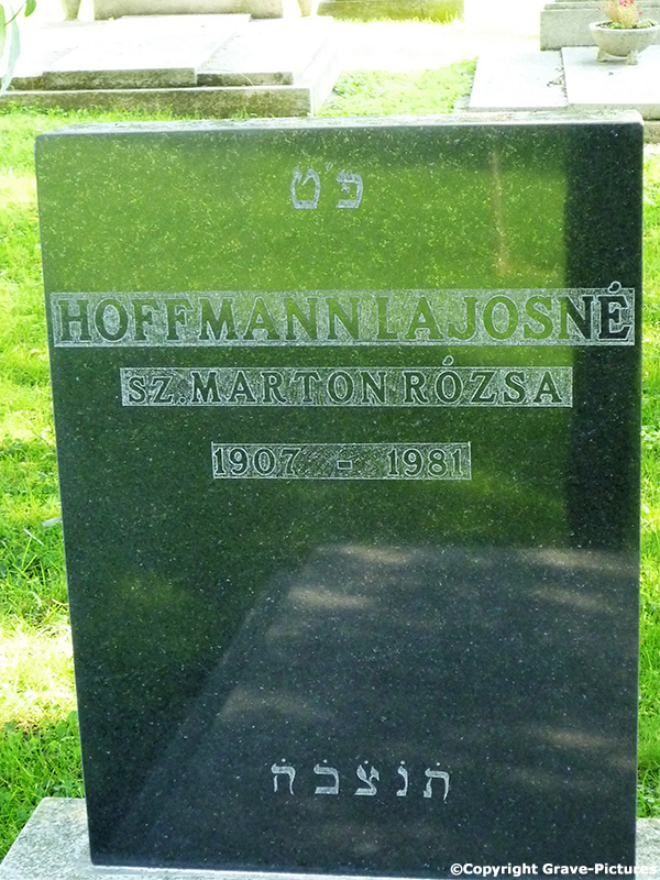 Hoffmann LaJosne