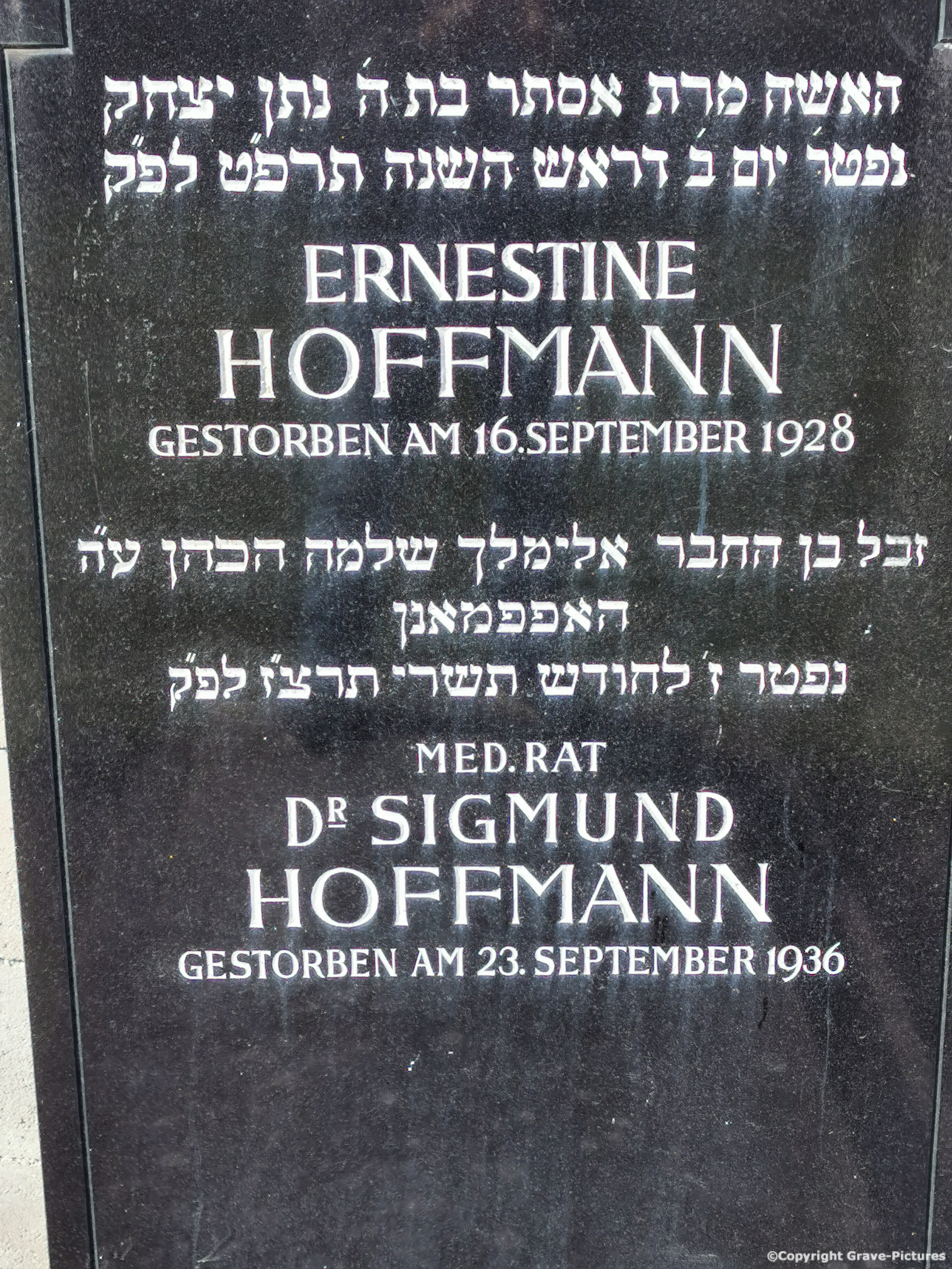 Hoffmann Sigmund Dr.