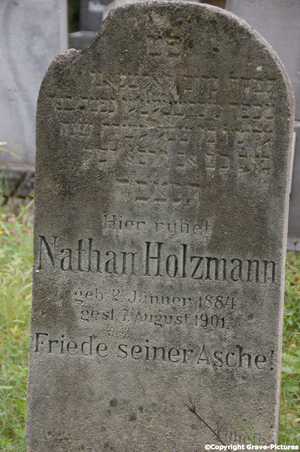 Holzmann Nathan