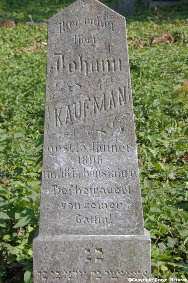 Kaufman Johann