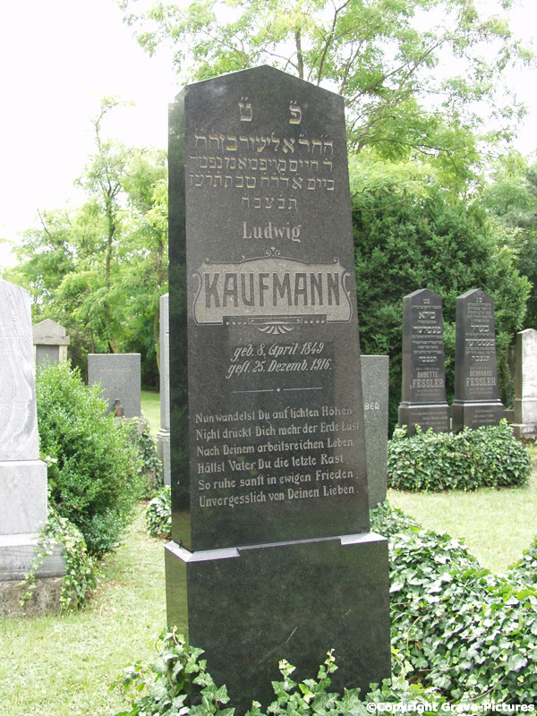 Kaufmann Ludwig