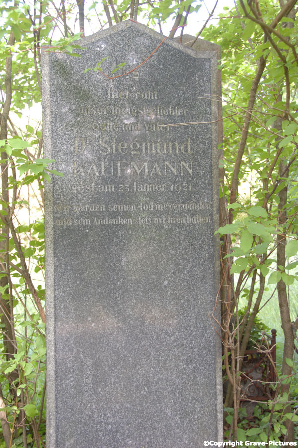 Kaufmann Siegmund Dr.