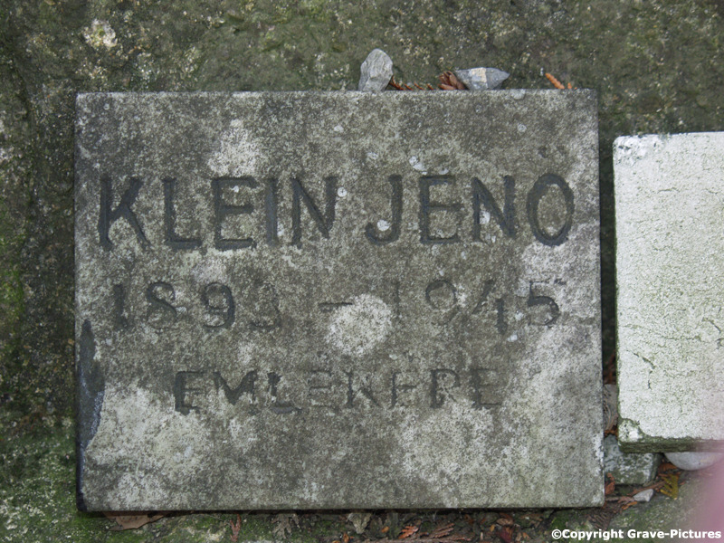 Klein Jenö