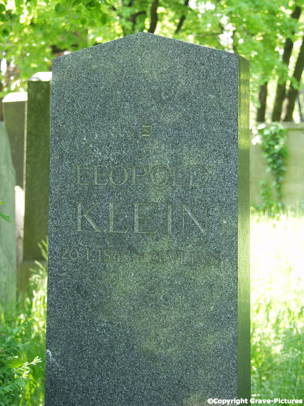 Klein Leopold