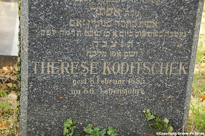 Koditschek Therese