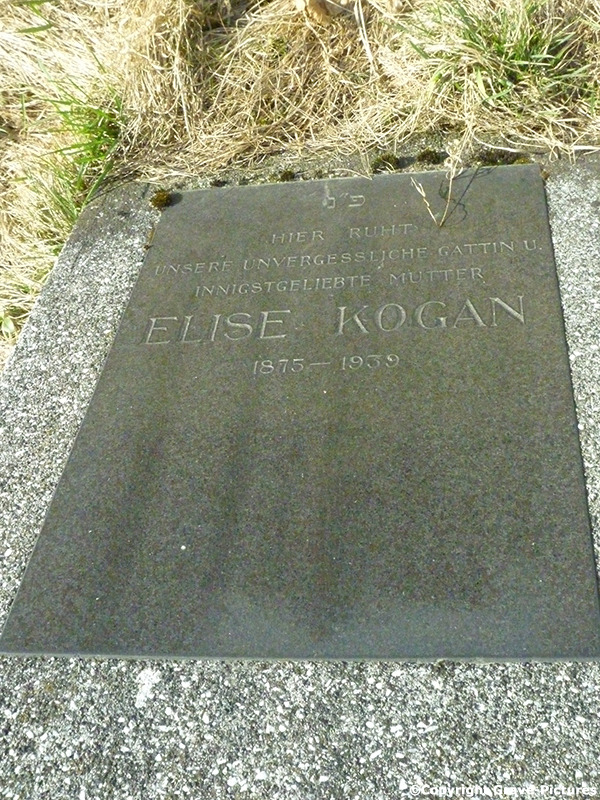 Kogan Elise