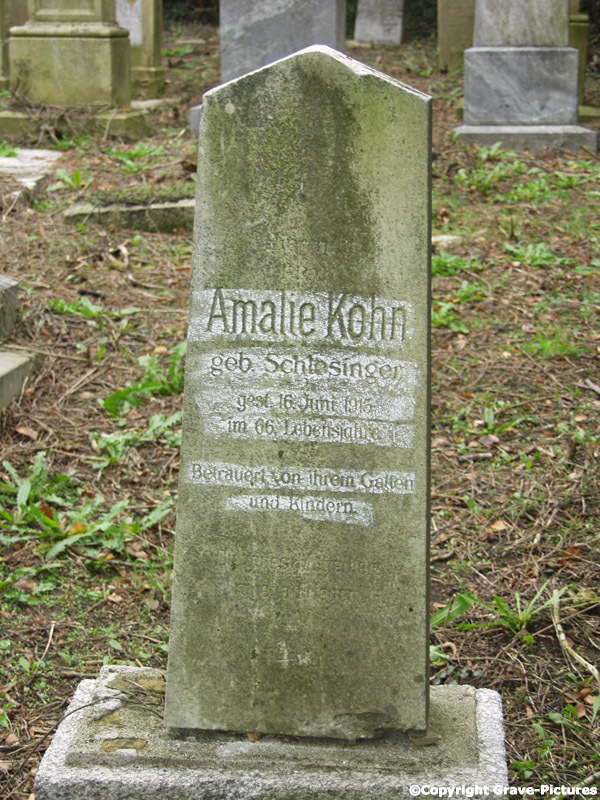 Kohn Amalie