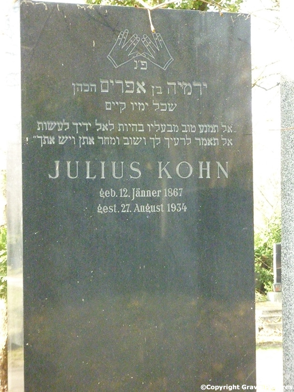 Kohn Julius