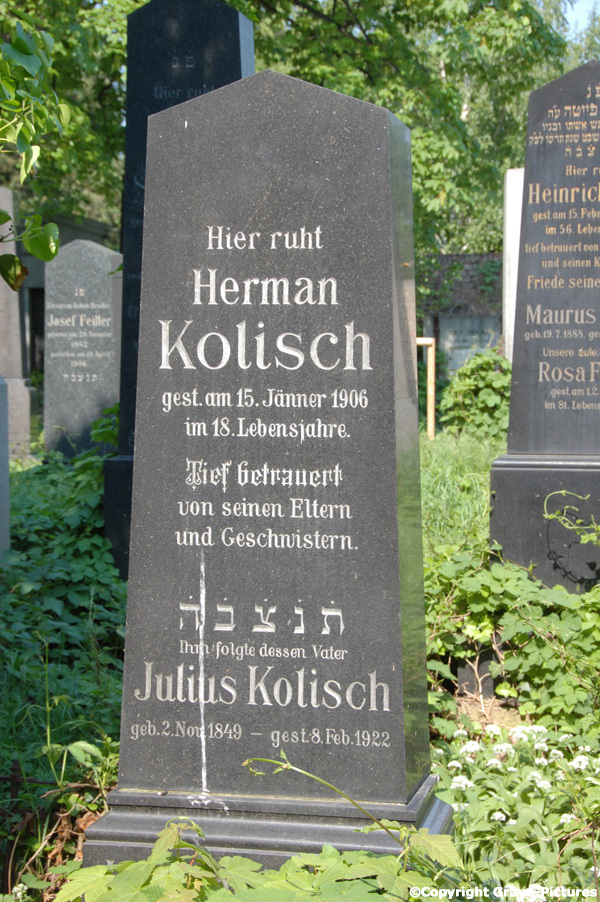 Kolisch Julius