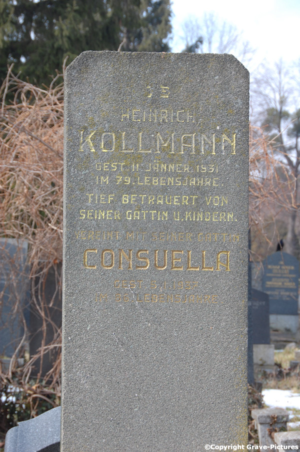 Kollmann Heinrich