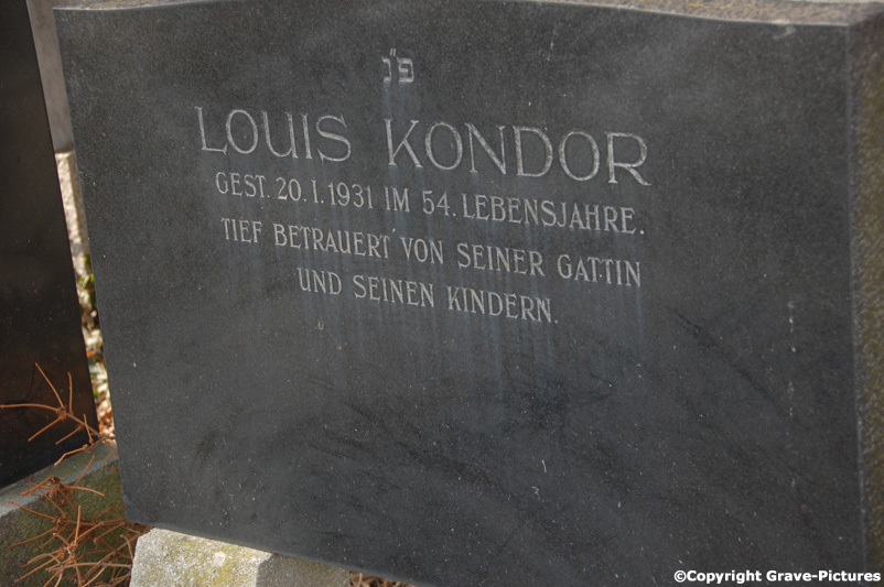 Kondor Louis