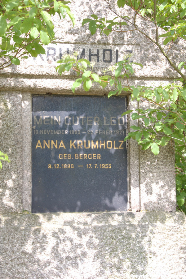 Krumholz Anna