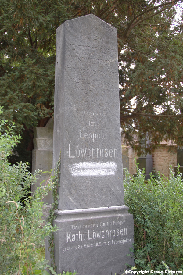 Löwenrosen Leopold