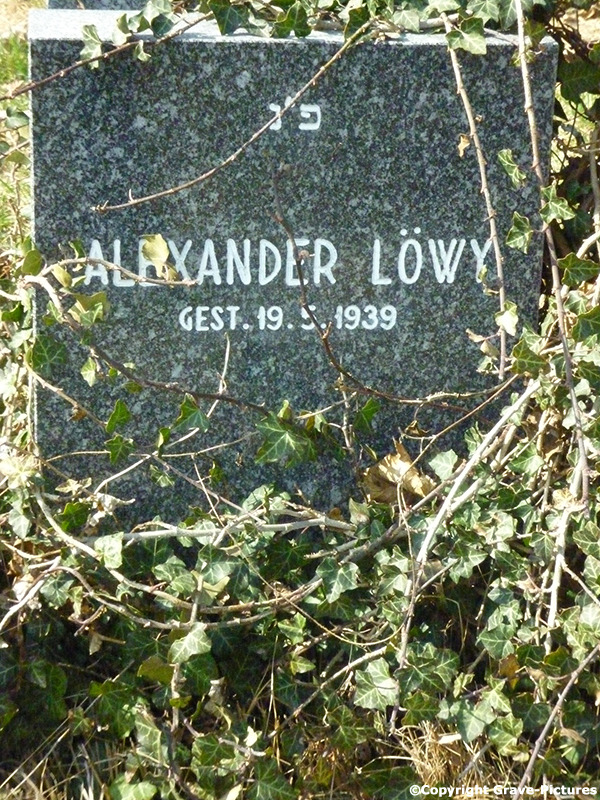 Löwy Alexander