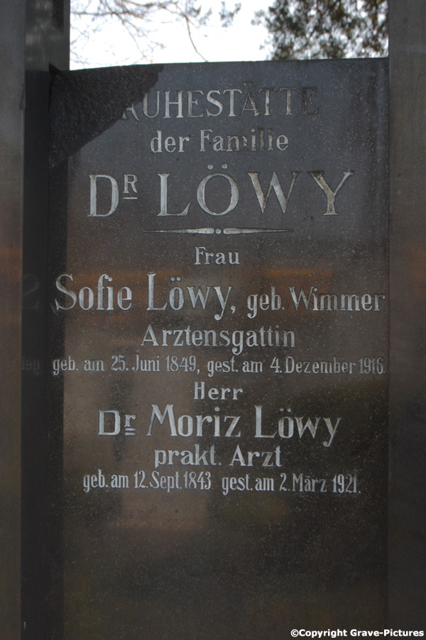 Löwy Moritz Dr.