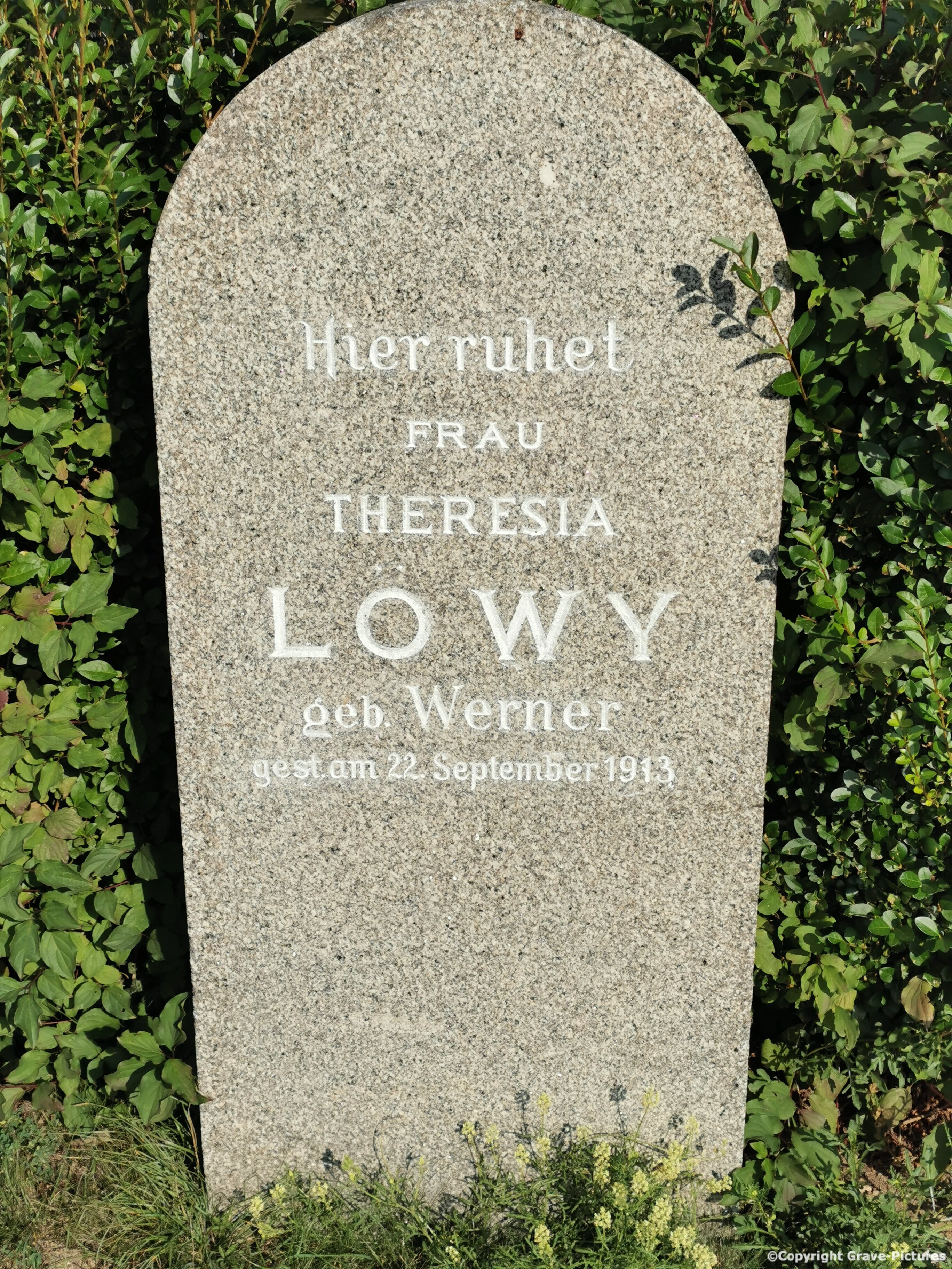 Löwy Theresia