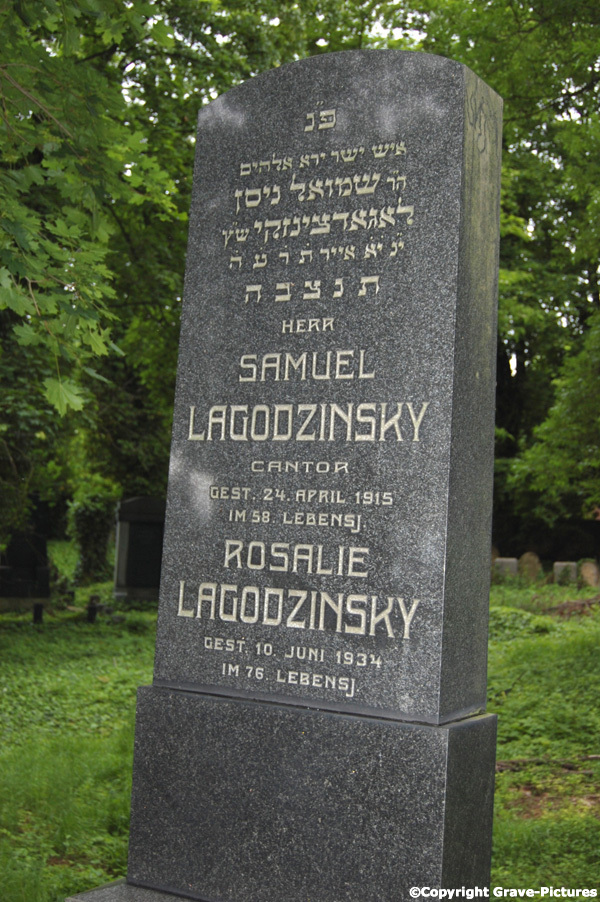 Lagodzinsky Samuel