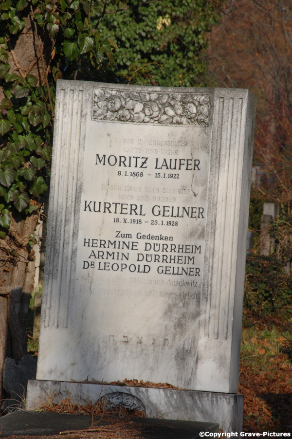 Laufer Moritz