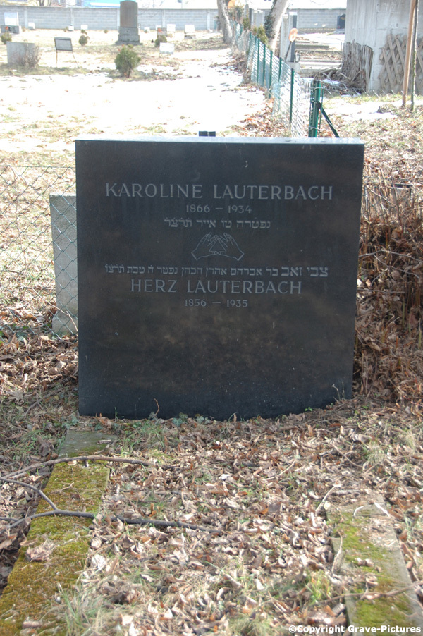 Lauterbach Herz