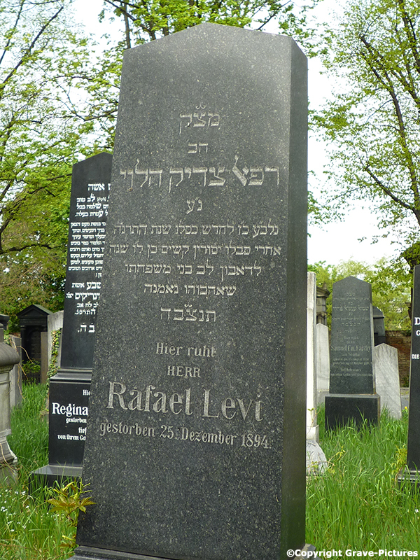 Levi Rafael