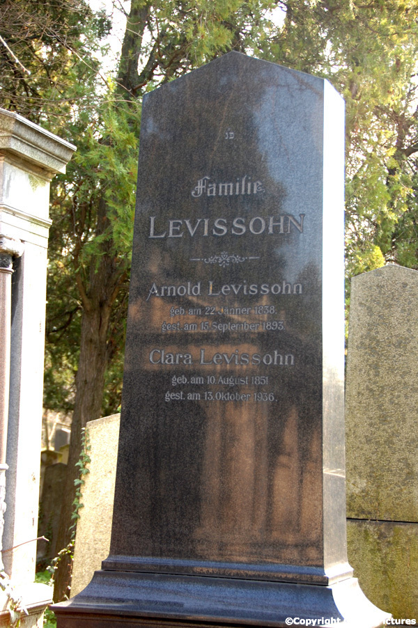Levissohn Arnold