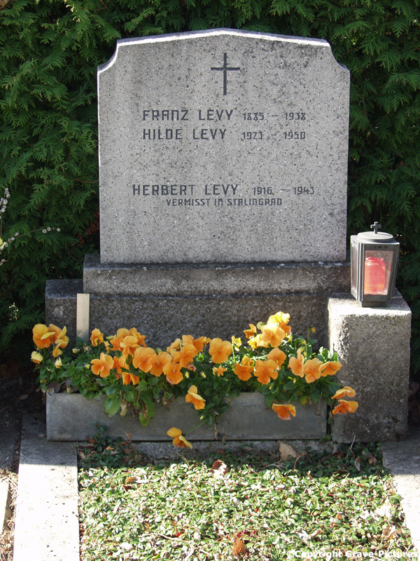 Levy Franz