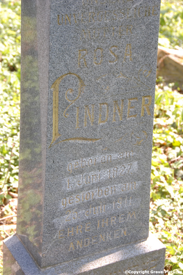 Lindner Rosa