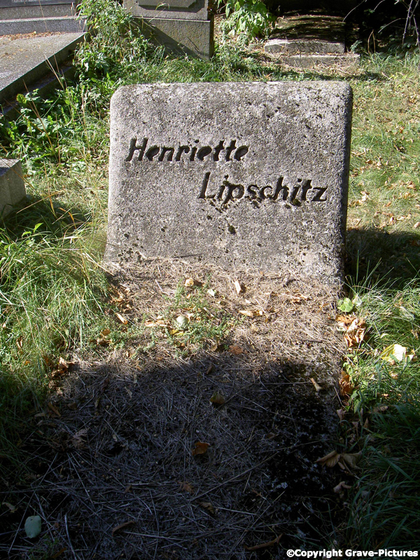 Lipschitz Henriette