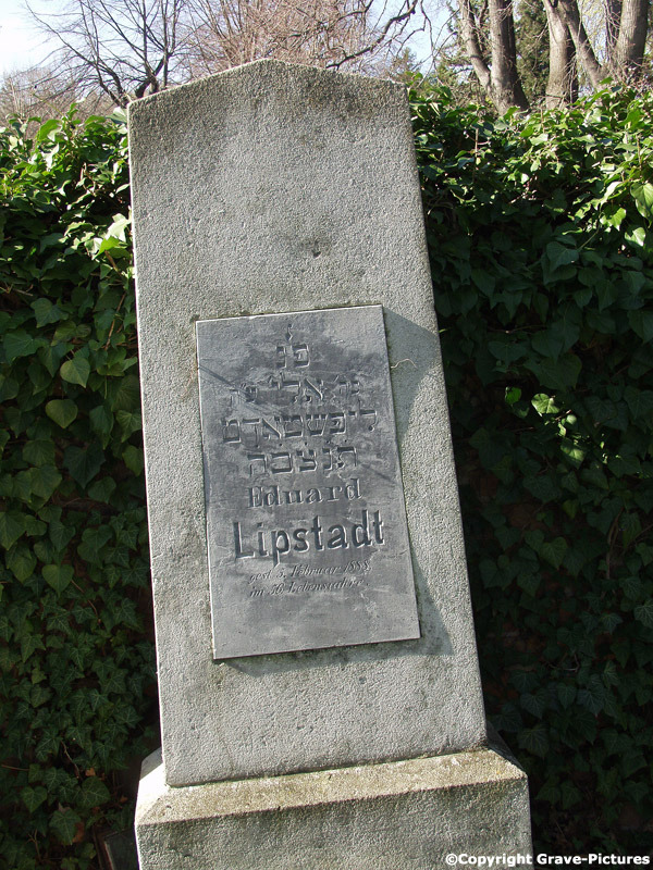 Lipstadt Eduard