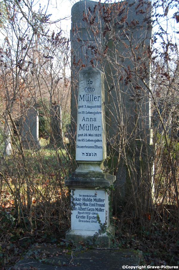 Müller Albert