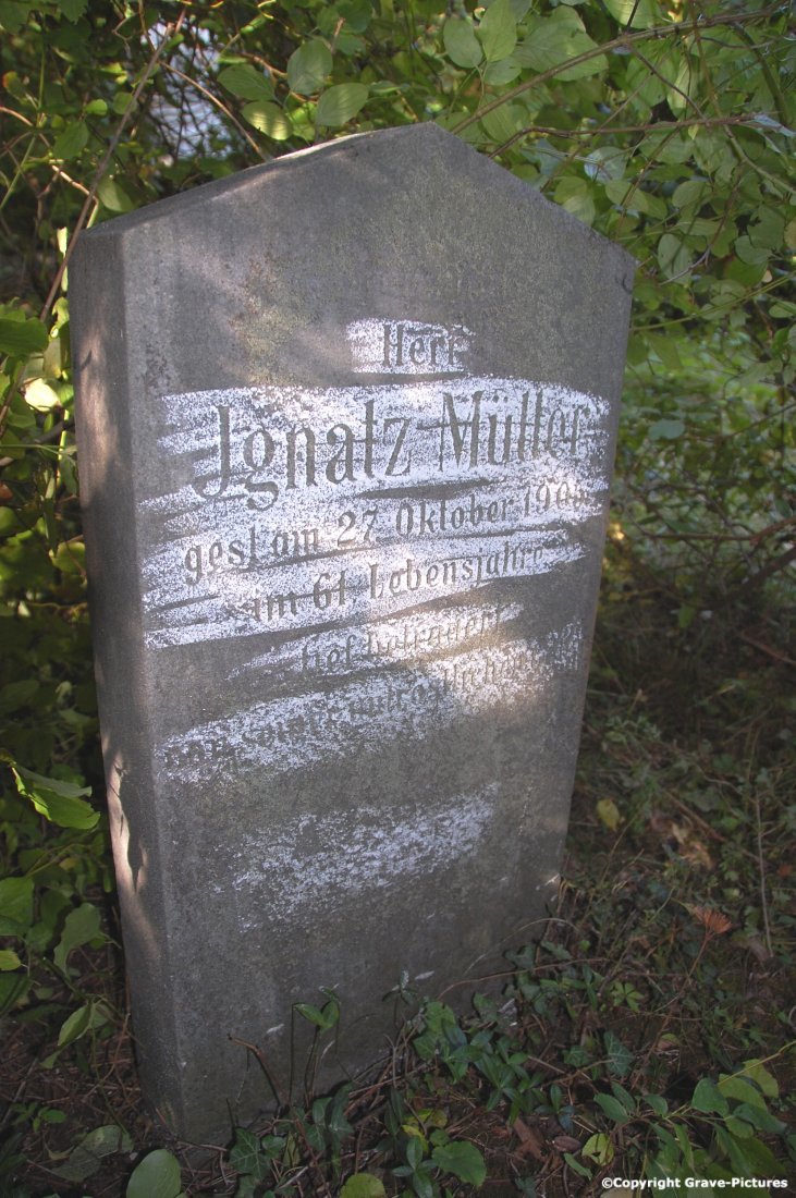 Müller Ignatz