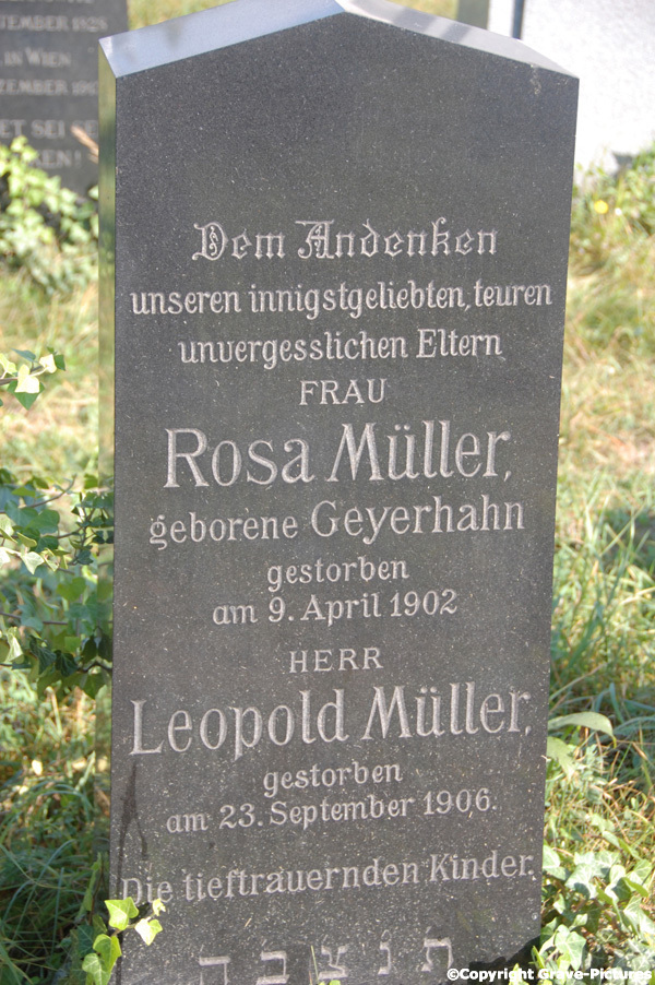 Müller Leopold