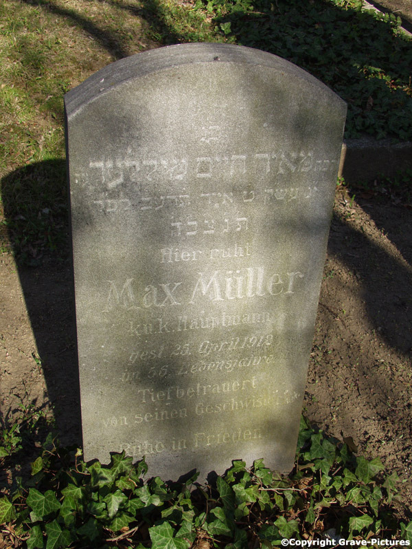 Müller Max