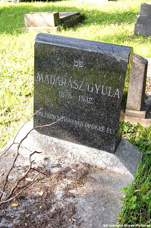 Madarasz Gyula