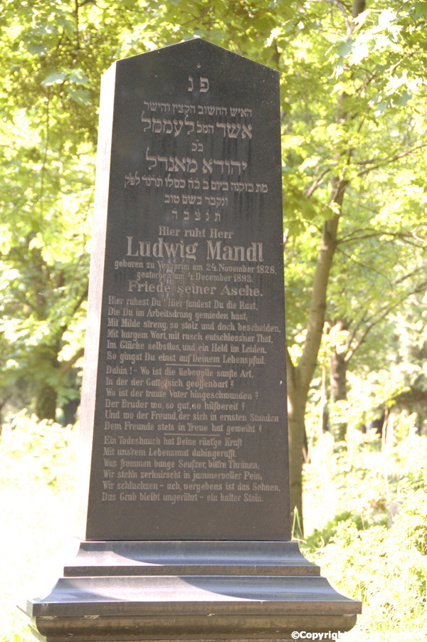 Mandl Ludwig